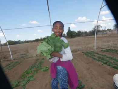 young girl and big cabbage plant